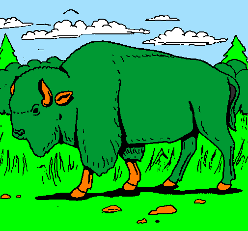 Desenho Búfalo pintado por mateus