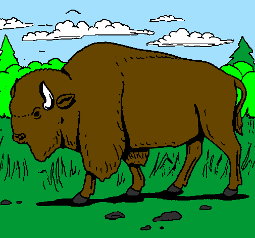 Desenho Búfalo pintado por Murilo