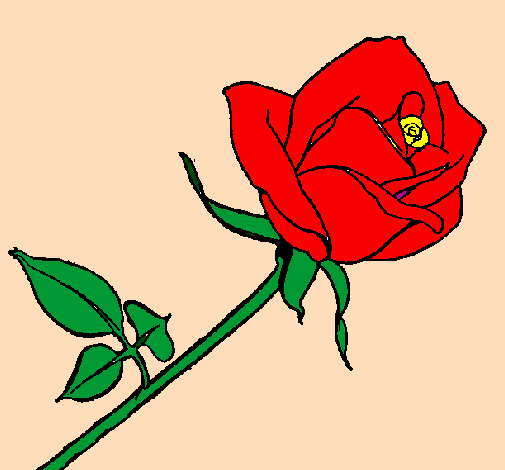 Desenho Rosa pintado por AMOR