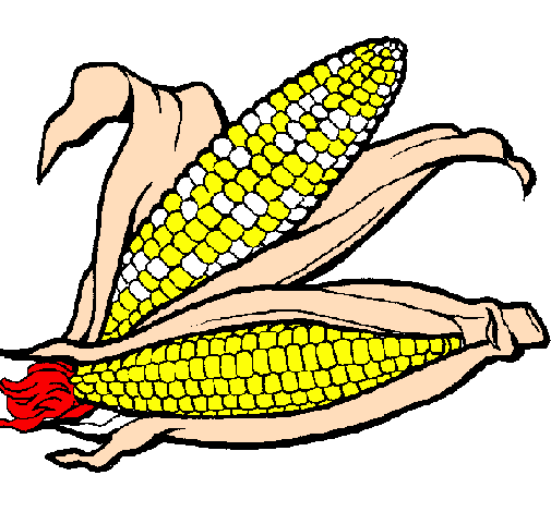 Desenho Espiga de milho  pintado por KETLY
