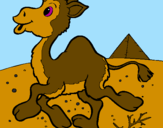 Desenho Camelo pintado por luiz