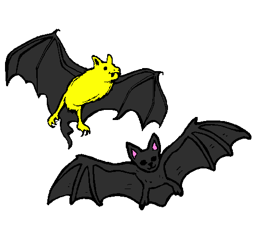 Desenho Um par de morcegos pintado por João Diogo