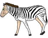 Desenho Zebra pintado por zebrinha