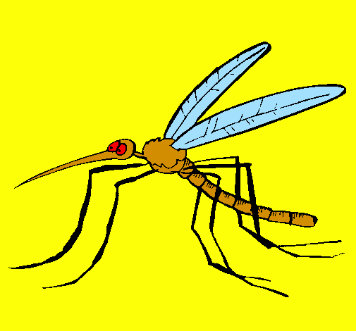 Desenho Mosquito pintado por thales