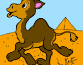 Desenho Camelo pintado por  merci
