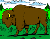 Desenho Búfalo pintado por  rayane