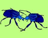 Desenho Escaravelhos pintado por matheus  judo