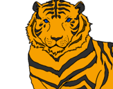 Desenho Tigre pintado por a onça pintada