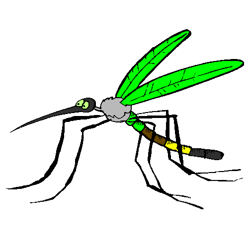 Desenho Mosquito pintado por heloisa