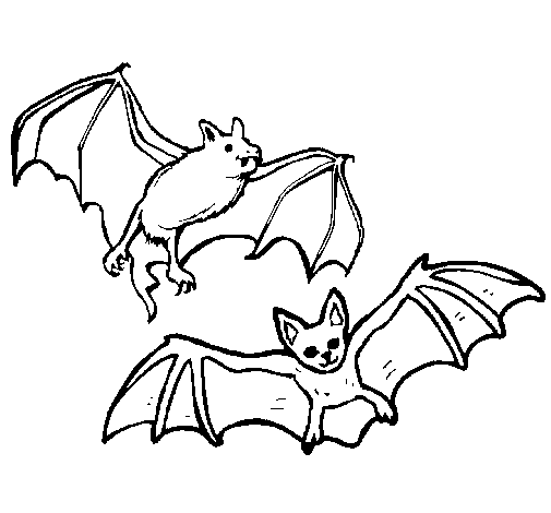 Desenho Um par de morcegos pintado por Rayssa