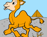 Desenho Camelo pintado por jessica