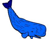 Desenho Baleia grande pintado por baleia