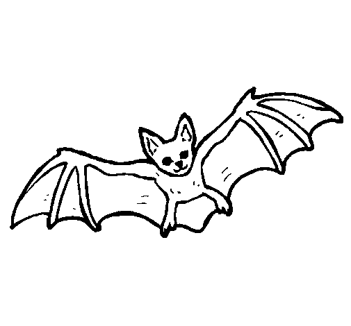 Desenho Morcego a voar pintado por morceguito