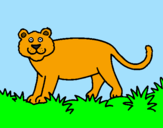 Desenho Panthera  pintado por vi