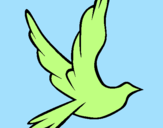 Desenho Pomba da paz a voar pintado por jasmin