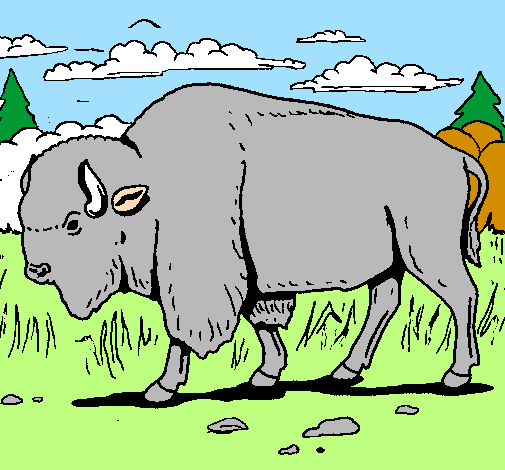 Desenho Búfalo pintado por giovanna.