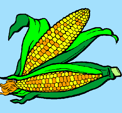 Desenho Espiga de milho  pintado por ivair