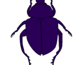 Desenho Escaravelho pintado por matheus  judo