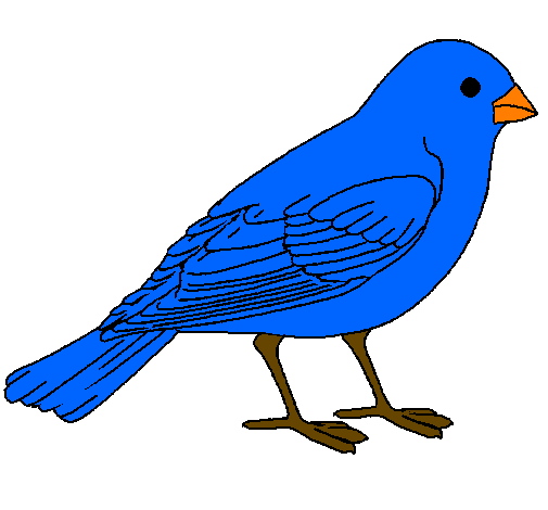 Desenho Pardal pintado por passaro azul