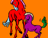 Desenho Cavalos pintado por eduarda