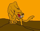 Desenho Tigre com dentes afiados pintado por grrrrrrrrrrrrrr