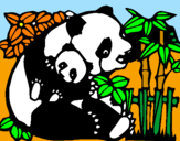 Desenho Mamã panda pintado por  Rodrigo costa