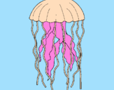 Desenho Medusa pintado por mateus