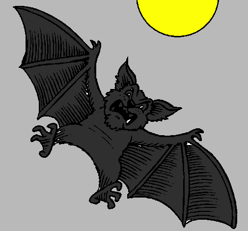 Desenho Morcego cão pintado por sergio