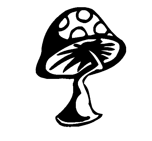 Desenho Cogumelo pintado por kkk