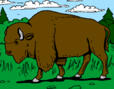 Desenho Búfalo pintado por Lívia