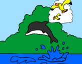 Desenho Golfinho e gaviota pintado por juliano