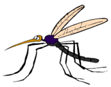 Desenho Mosquito pintado por surya