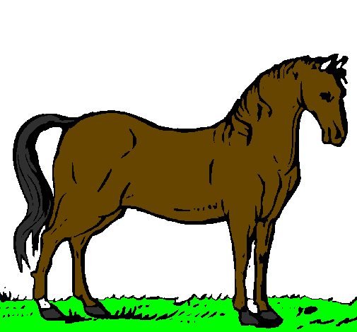 Desenho Cavalo andaluz pintado por corcel negro