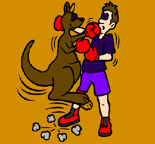 Desenho Canguro boxeador pintado por kaleo vt54