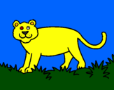 Desenho Panthera  pintado por ana.clara