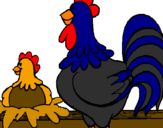 Desenho Galo e galinha pintado por iara