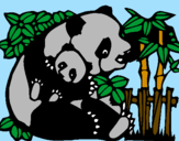 Desenho Mamã panda pintado por Lívia