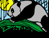 Desenho Urso panda a comer pintado por Lívia