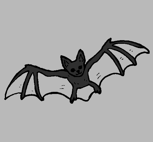 Desenho Morcego a voar pintado por leonrdo
