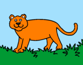 Desenho Panthera  pintado por gabriel
