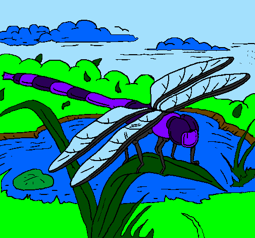 Desenho Libélula pintado por hercules