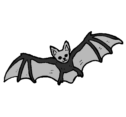 Desenho Morcego a voar pintado por abobora