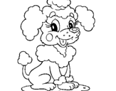 Desenho Poodle pintado por pedrita