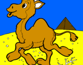 Desenho Camelo pintado por dIEGO