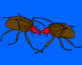 Desenho Escaravelhos pintado por joão jorge