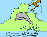 Desenho Golfinho e gaviota pintado por AFONSO     VIEIRA   