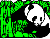 Desenho Urso panda e bambu pintado por duarte