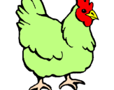 Desenho Galinha pintado por galinha verde