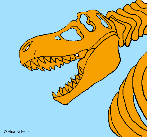 Desenho Esqueleto tiranossauro rex pintado por pedrinho