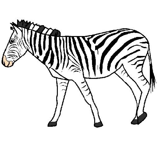 Desenho Zebra pintado por abelha